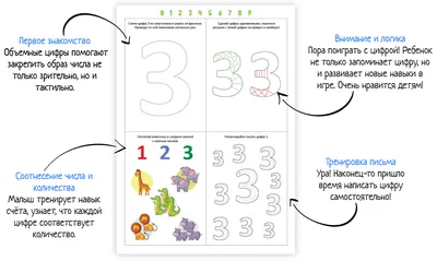 Тренажер. Учимся писать цифры: для детей 6 лет – купить по цене: 27 руб. в  интернет-магазине УчМаг