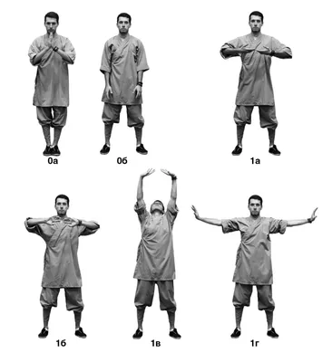 Гимнастика цигун для начинающих дома (комплекс упражнений) – Школа Мастера  Ши Янбина