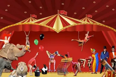 Квест с актерами «Не тот цирк» в Москве | Клаустрофобия
