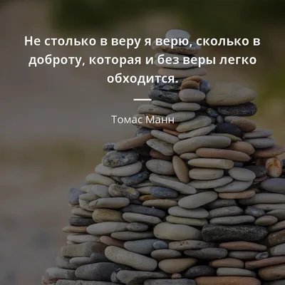 Большая книга стервы, Евгения Шацкая - «Отлично! Читать всем, даже  мужчинам!» | отзывы