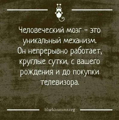 Пин от пользователя Сергей Е на доске Юмор картинки | Юмористические цитаты,  Веселые мысли, Смешные поговорки