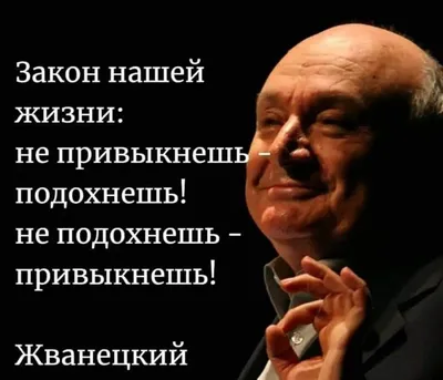 Михаил Жванецкий цитаты | Короткие смешные цитаты, Сильные цитаты,  Юмористические цитаты