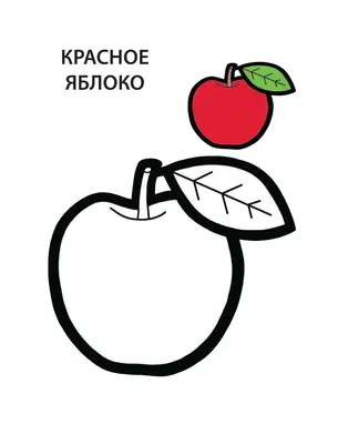 Кто знает, как выглядит цвет Детей Эдуарда или цвет бедра испуганной нимфы?  Нет, это не набор слов, а реальные названия цветов. Вот еще… | Instagram