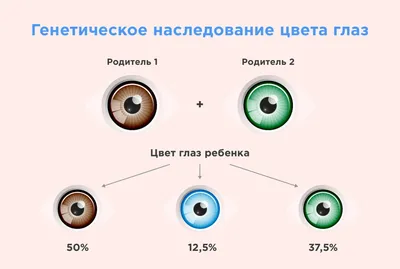 Развивающее лото для малышей \"Изучаем цвета\" скачать