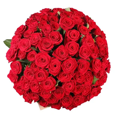 Букет из 101 красной розы \"Микс\" купить в Курске | заказать живые цветы с  доставкой на дом или самовывоз