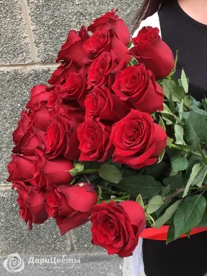 Цветы в коробке Розы \"Красный бархат\" - купить букет в коробке с доставкой  | Donpion