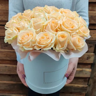 Моно из розы Джульетта - KORA flowers - интернет магазин цветов в  Санкт-Петербурге