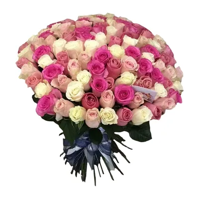 Букет из 51 малиновой розы Standart - заказать цветы с доставкой в Саратове