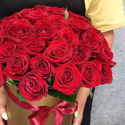 Розы дешево, 7шт. Цвет: белый по цене 2260 ₽ - купить в RoseMarkt с  доставкой по Санкт-Петербургу