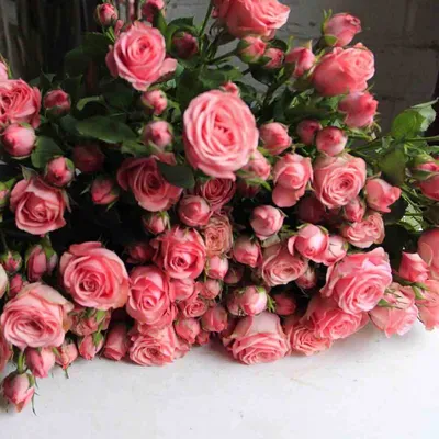 Букет из 101 разноцветной розы купить по цене 25550 рублей в Хабаровске —  интернет магазин Shop Flower.