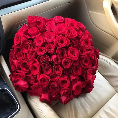 Цветы розы в коробке – купить с бесплатной доставкой в Москве