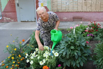 Фотографии : Горный Алтай : Чемальский район : Усадьба «У Ирины» : Цветник  у дома