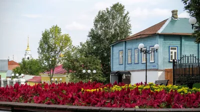 Цветник под окнами многоэтажки. Как не получить штраф и что посадить