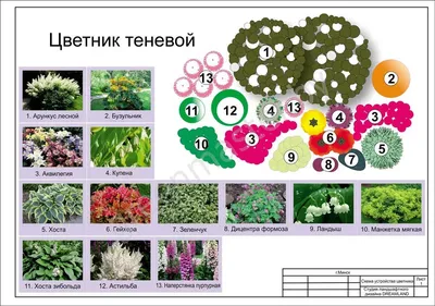 Оригинальные цветники для дачи — выбор цветов, обустройство ландшафта, фото  идеи