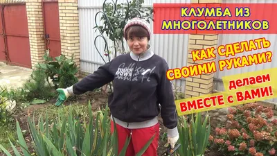 Хвойные растения в клумбе - Схемы - Особенности ухода