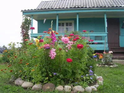 Клумбы и цветники – Цветник на даче, посадка растений от Lfgarden