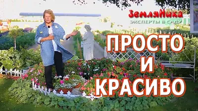 Клумбы из дерева: 7 красивых идей, которые вы можете воплотить  самостоятельно - Дом Mail.ru