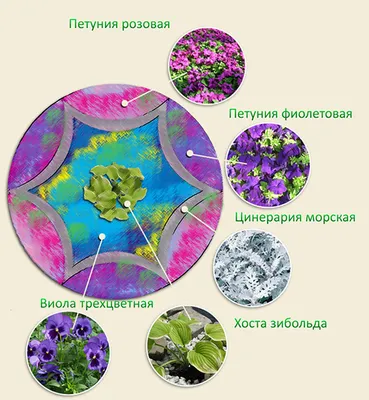 Как организовать вертикальные клумбы и цветники у себя дома: изготовление своими  руками