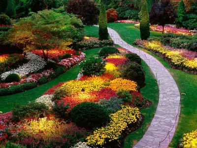 Изображение цветника, который наполнит вашу жизнь яркими красками и ароматами