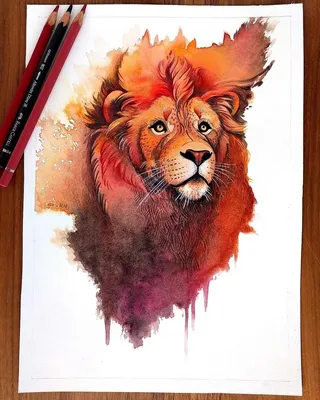 акварельный лев, окрашенный лев, цветной лев, иллюстрация льва png | PNGWing