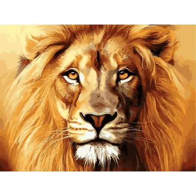 Король Лев рисунок цветной - 50 фото