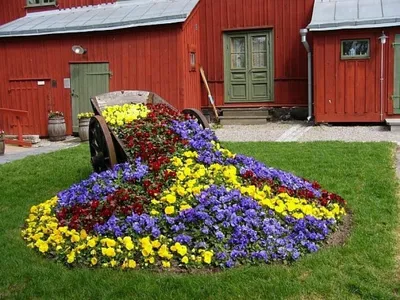Цветы для клумбы на даче (45 фото): по оформление цветочной клумбочки в  саду своими руками, фото и видео