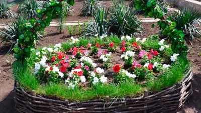 Клумбы и цветники – Цветник на даче, посадка растений от Lfgarden