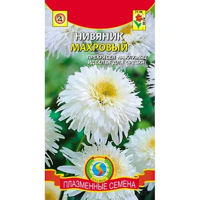 Нивяник (поповник) - купить саженцы и рассаду многолетнего растения в Киеве  и Украине