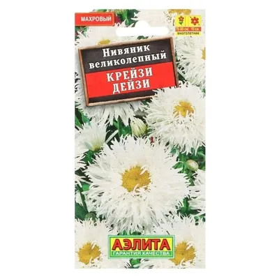 Ромашка (нивяник) Аляска фото и описание сорта 🌱 купить ромашка (нивяник)  Аляска почтой недорого в Москве