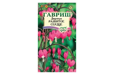 Купить Лилия восточная махровая Разбитое сердце — от НПО Сады Росcии с  доставкой