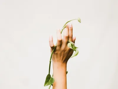 Изображение рук с цветами: совершенство и гармония