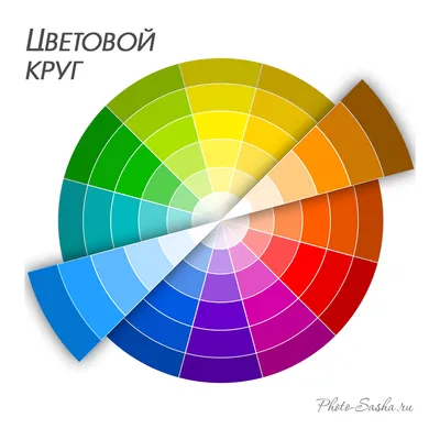 Цветовой круг и варианты цветокоррекции на фото | Фотошкола Photo-Sasha.ru  | Дзен
