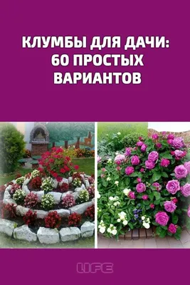 Все в сад! О том, как превратить дачный участок в райский уголок | Чадеева  Ирина Валентиновна - купить с доставкой по выгодным ценам в  интернет-магазине OZON (250953059)