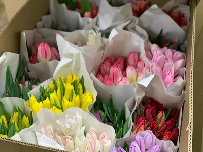 Какие цветы и кому лучше дарить на 8 марта