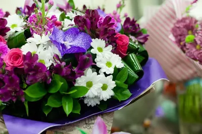 Необычные цветы — самые необычные цветы мира для букетов с фото и названиями