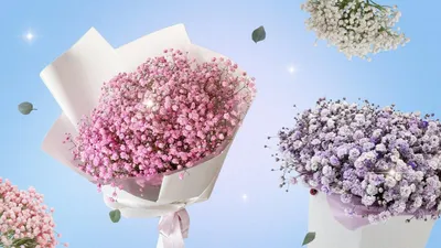 Букет в коробке «Морозный полдень» из кустовых и пионовидных роз,  ранункулюсов, озотамнуса и ели - интернет-магазин «Funburg.ru»