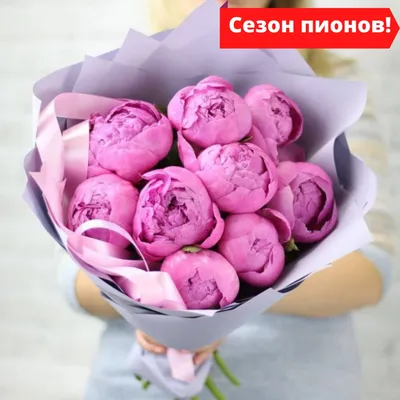Набор цветы с мишкой Томи Розы с медведем заказать в Гродно: доставка,  цена, фото