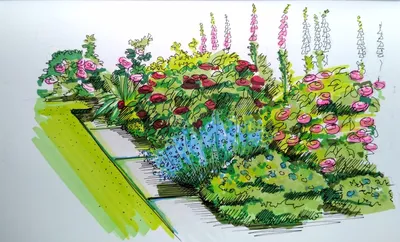 Как разбить сад, как ухаживать за газоном, что посадить в саду: советы  ландшафтного дизайнера, 2022 года - 3 мая 2022 - Фонтанка.Ру