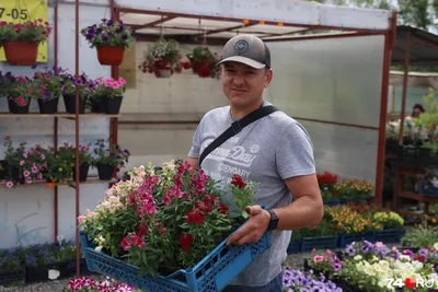 Какие цветы лучше всего выращивать на даче в Хабаровском крае? - МК  Хабаровск