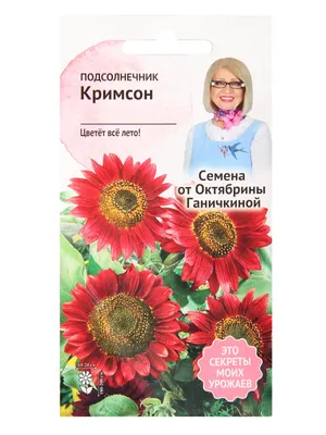 Подсолнечник Кримсон 0,5 г, семена для выращивания однолетних цветов для  сада, однолетние цветы для дачи | AliExpress