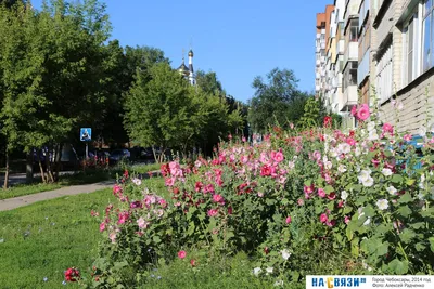 Купить набор для вышивания Белоснежка Цветы у дома, цены на Мегамаркет |  Артикул: 600001124372