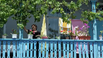 Имеют ли право жильцы многоэтажек выращивать цветы под своими окнами - KP.RU