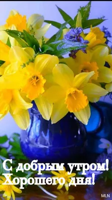 С добрым утром | Доброе утро, Цветки орхидеи, Картинки для поднятия  настроения