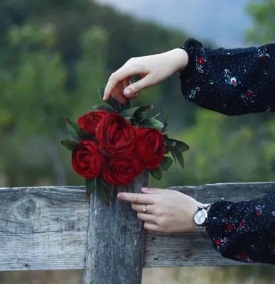 Руки, держащие красивые цветы в корзине