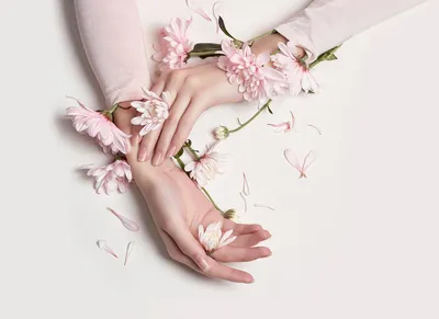 Фотография руки, держащей цветы