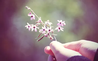 Руки, которые обнимают цветы