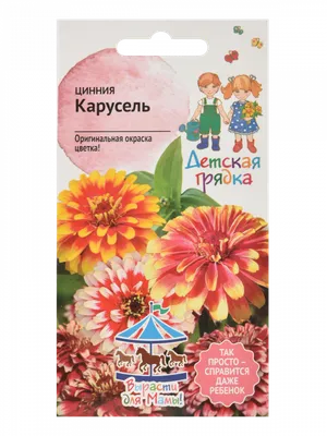 Прекрасная цинния: сорта, выращивание и болезни | В цветнике (Огород.ru)