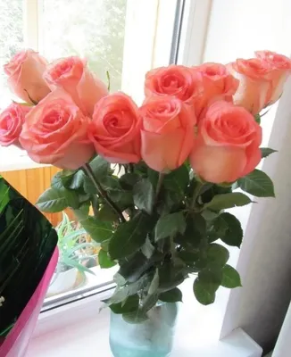 Розы в вазе дома (79 фото) »