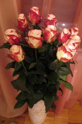 Цветы в вазе дома - 69 фото