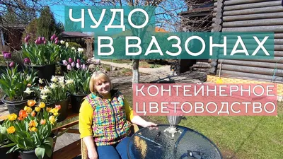 Как правильно посадить цветы в кашпо и ухаживать за ними, каких ошибок надо  избегать